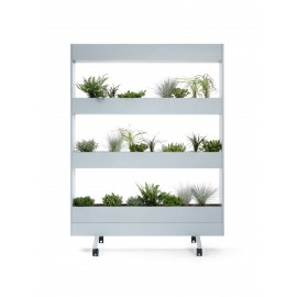Sedus Pflanzwand  "se:lab mobile planter", Pflanzwand auf Rollen